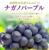 【添加物、砂糖不使用】ドライフルーツ　ご家庭用　種なし　ナガノパープル　【500ｇ】