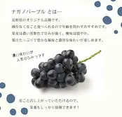 【添加物、砂糖不使用】ドライフルーツ ご家庭用 種なし ナガノパープル 【500g】 - 画像 (2)